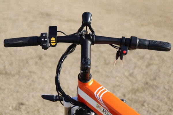 リブサル e-BIKE【震電】